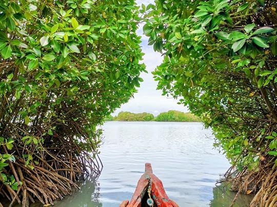 A boat gliding through the heart of a Mangrove forest near Sambranikodi Island