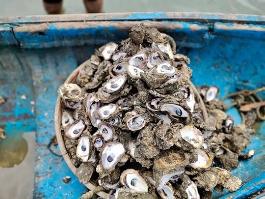 Oysters on sale, near Sambranikodi Island!