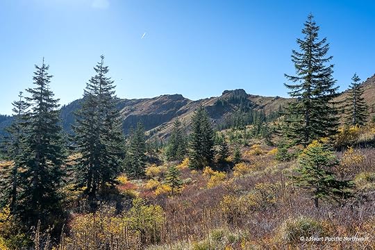 Silver Star Mountain via Ed's Trail Loop Hike