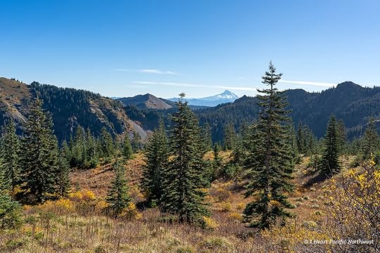 Silver Star Mountain via Ed's Trail Loop Hike