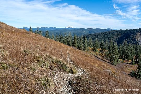 Silver Star Mountain via Ed's Trail Loop Hike