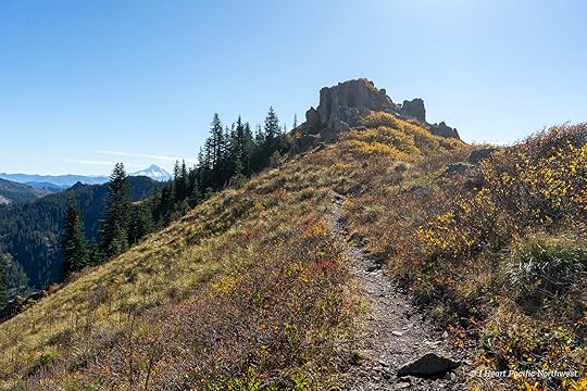 Silver Star Mountain via Ed's Trail Loop Hike