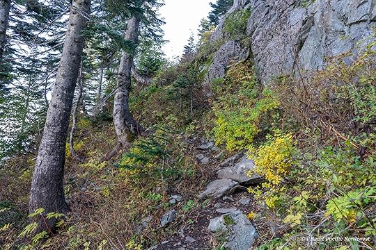 Silver Star Mountain via Ed's Trail Loop Hike