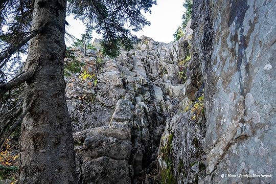 Silver Star Mountain via Ed's Trail Loop Hike