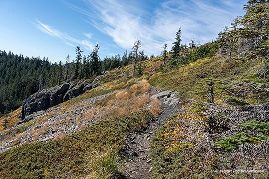 Silver Star Mountain via Ed's Trail Loop Hike
