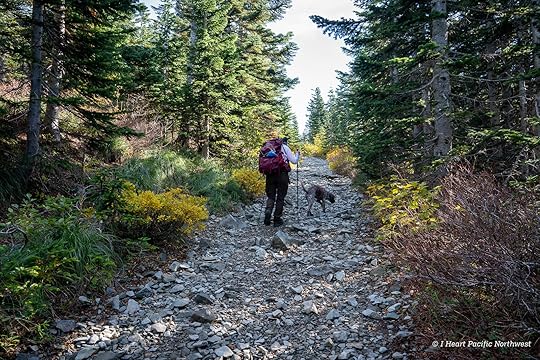 Silver Star Mountain via Ed's Trail Loop Hike