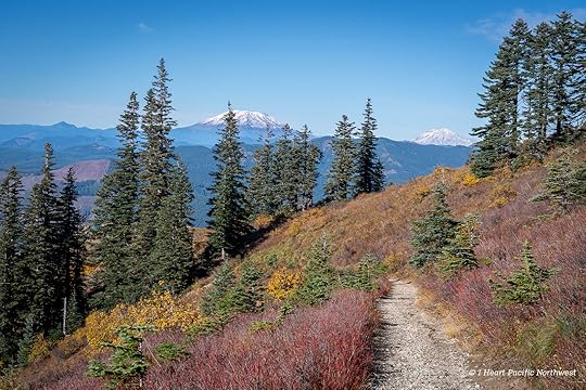 Silver Star Mountain via Ed's Trail Loop Hike