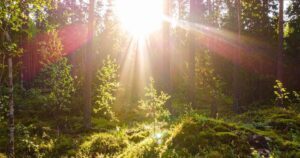 How Highly Sensitive People Can Set Healthy Emotional Boundaries Without Feeling Guilty filter