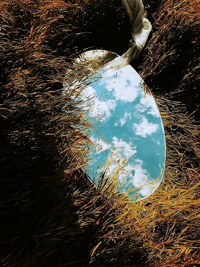 round mirror on grass
