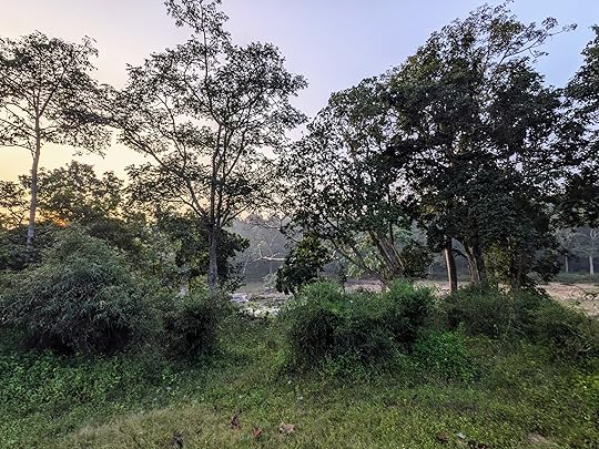 susanjagannath-kanha-1