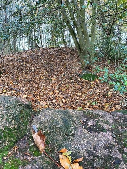 Auldearn Stone Row, cairn beyond