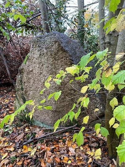 Auldearn Stone Row, overgrown