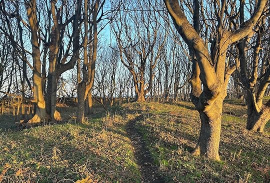 Daynote - Mon 17 Nov