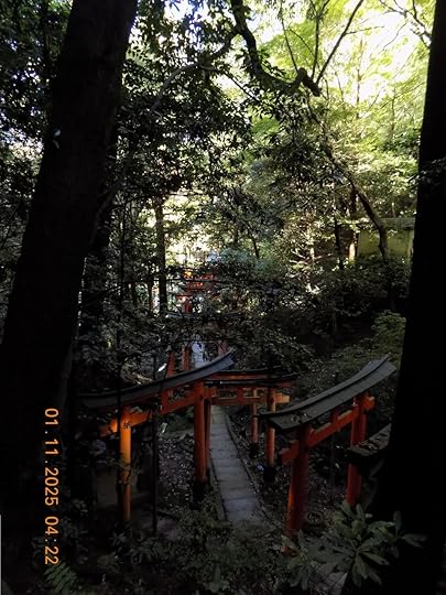 A photograph in Fushimi Inari in Kyoto, Japan. The photograph is taken from a height, looking down on a stone slab path lined with red Tori gates. There are tall trees which are dark in the foreground, with the sun shining brightly on the leaves of the trees further away.