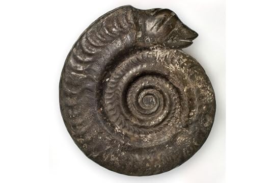 Ammonite crudley carved to look as though it's a curled up snake