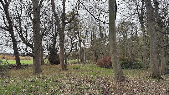 Daynote - Tue 11 Nov