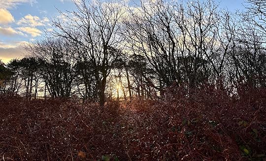 Daynote - Mon 10 Nov