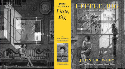 cover of Little, Big