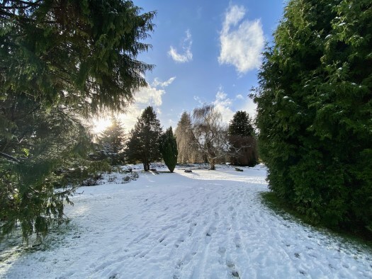 Snowy Hazlehead Park in Aberdeen, Scotland