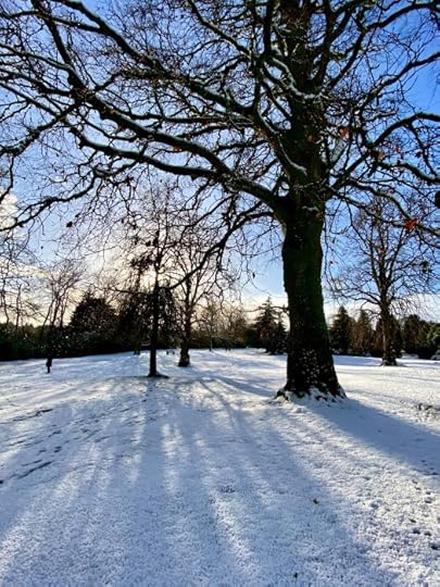 Hazlehead Park in Aberdeen, Scotland - shadows on the snow