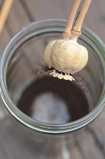 Saving poppy seeds in a jar