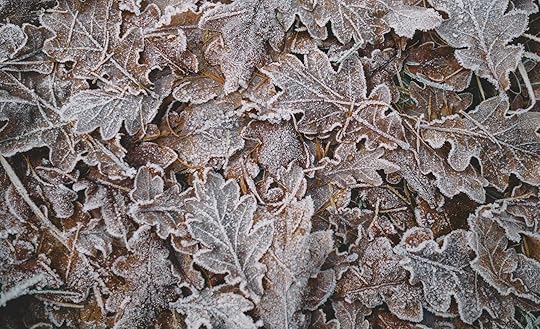 Daynote - Fri 21 Nov