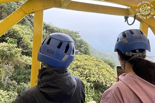 people looking out at the cloud forest aerial tram