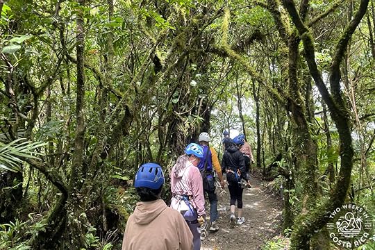 people walking through the cloud forest