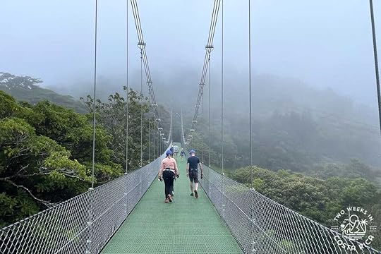 people walking on a bridge treetopia park monteverde