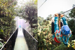 two photos of a hanging bridge and person zip lining