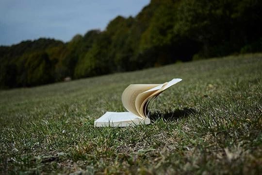 A book in a field of cut grass, at the edge of the woods, its pages being opened by the wind.