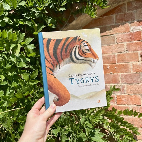 Tygrys by Cezary Harasimowicz