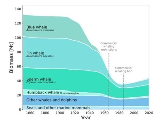 The return of the great whales and connecting human food with wildlife
