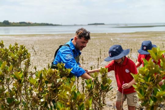 Where kids beat professionals to restore mangroves