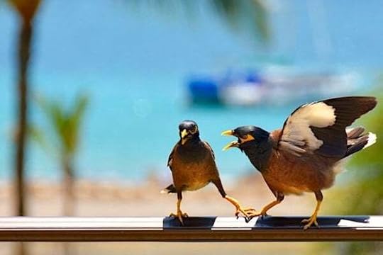 (Photo by Jason Hafso on Unsplash)