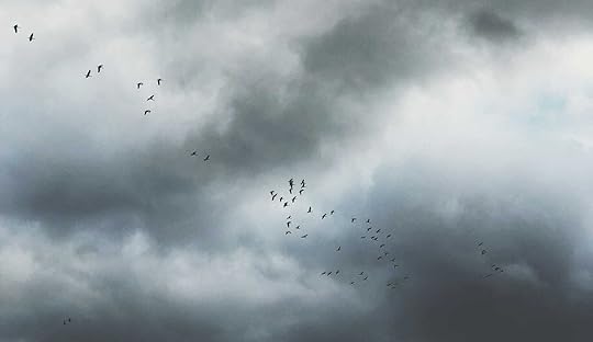 Daynote - Mon 24 Nov