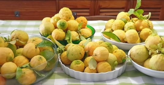 Bowls of lemons. Life hands this to you unexpectedly all the time.