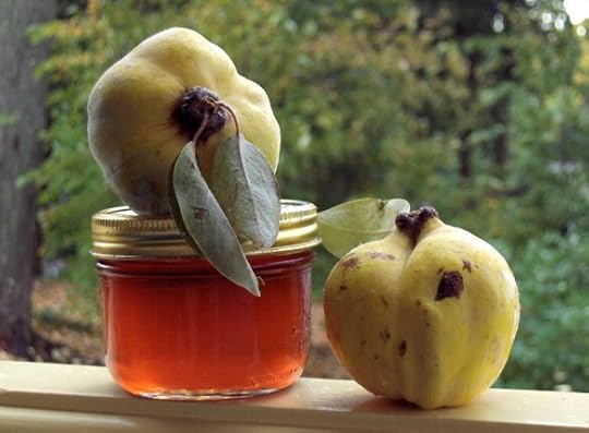 Quinces and quince jelly made by Deborah Cooke