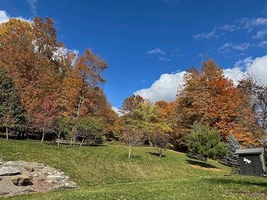 Backyard, early fall