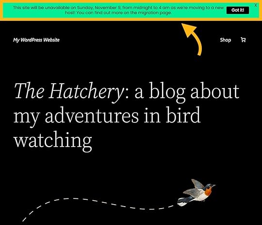 WordPress-Migration-Checklist-Notice-Bar