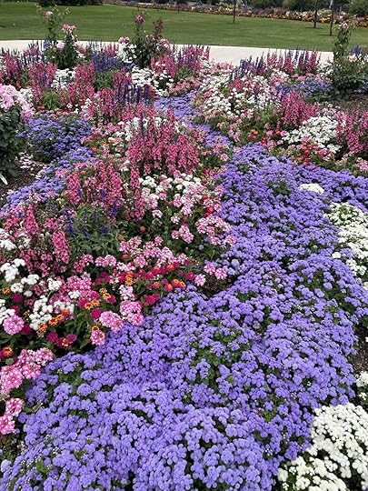 A scenic river with a biblical verse from Isaiah 43:2-3 about God's protection and redemption.