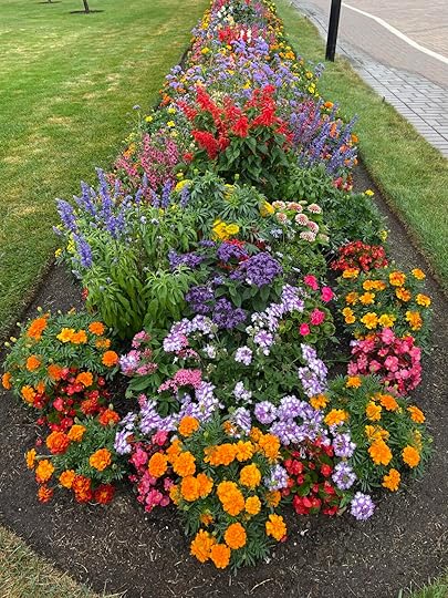 A scenic river with a biblical verse from Isaiah 43:2-3 about God's protection and redemption.