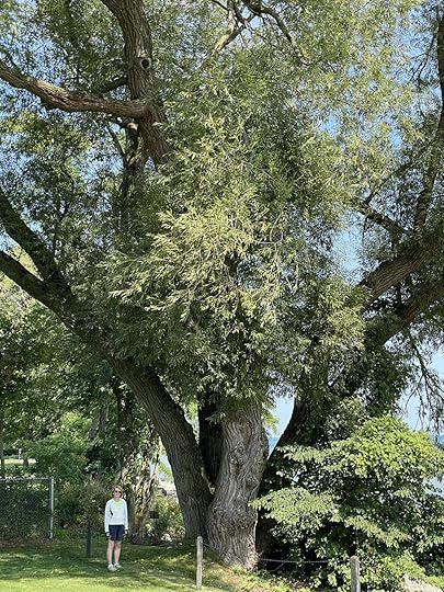 A scenic river with a biblical verse from Isaiah 43:2-3 about God's protection and redemption.