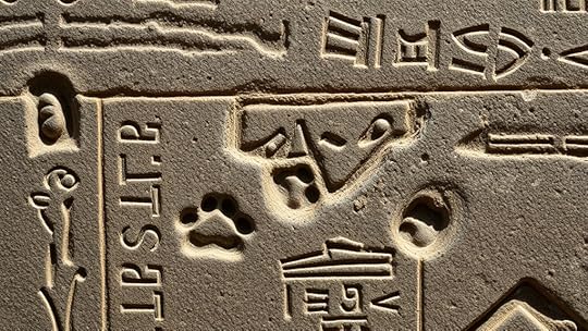 possible causes of paw prints