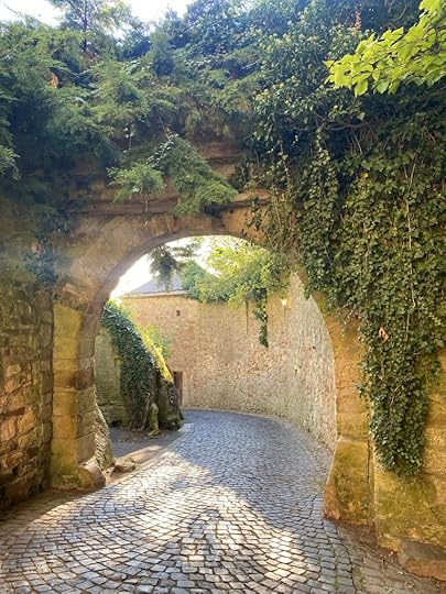 Castle Courtyard entrance with vines - 2025