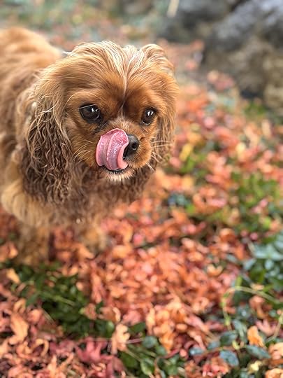 Nelletonguejapanesemapleleavesredgreen