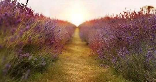 The Quest Series, Soul Intent Arts, Kelley Harrell