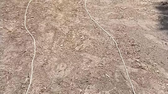 step two plan and dig the path