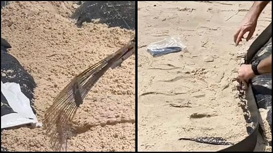 step four spread sand and add the border