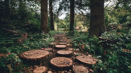 wood log slice path under trees